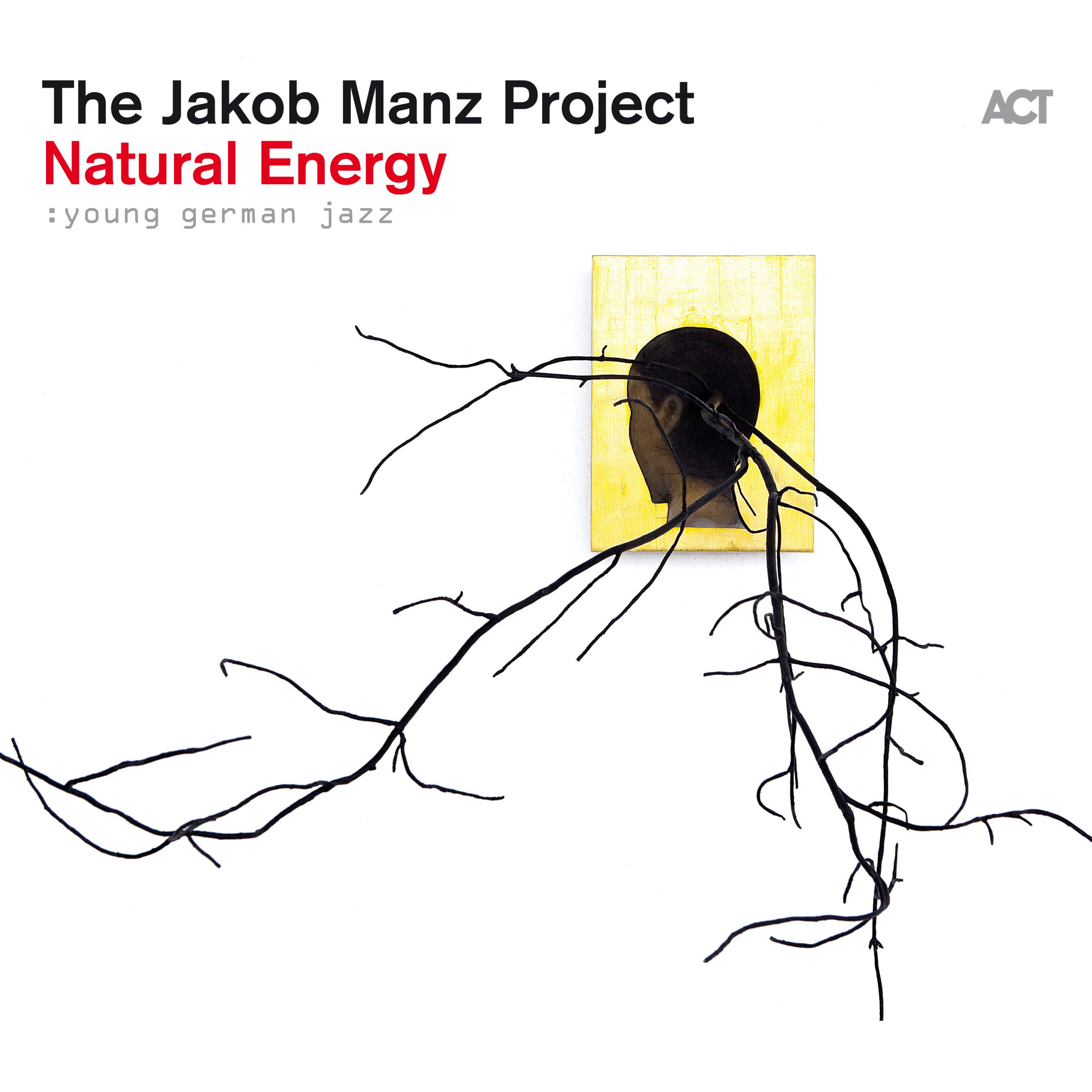 Album Cover: Natural Energy - The Jakob Manz Project